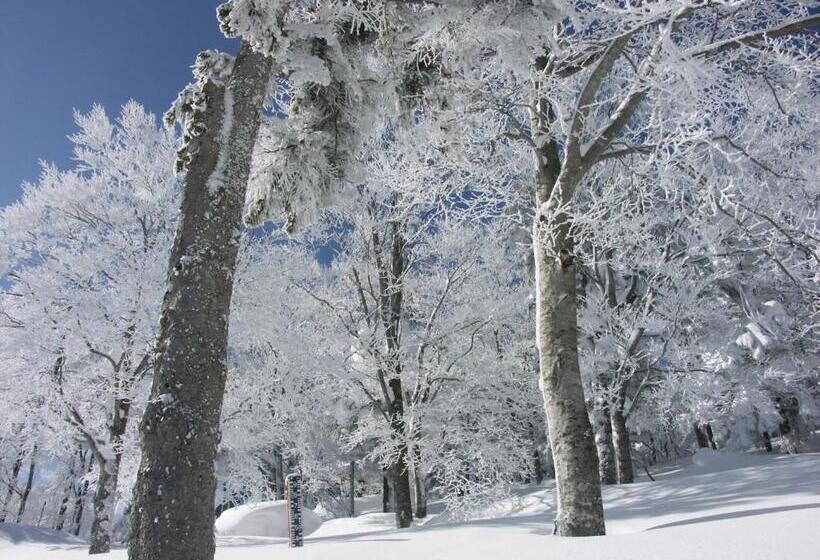 Рёкан 伊藤屋