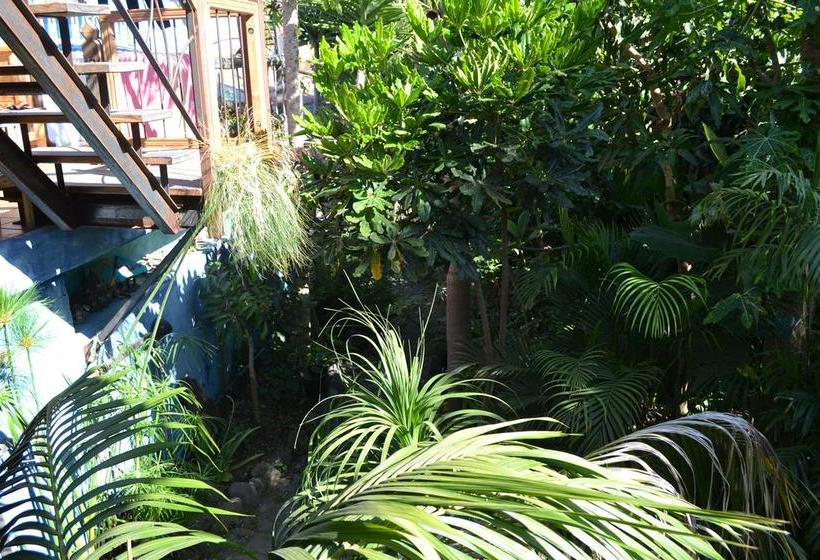 הוסטל El Porvenir