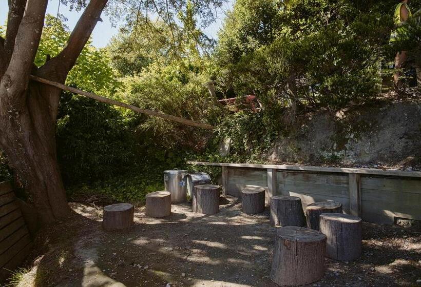 Vandrarhem Hippo Lodge Backpackers