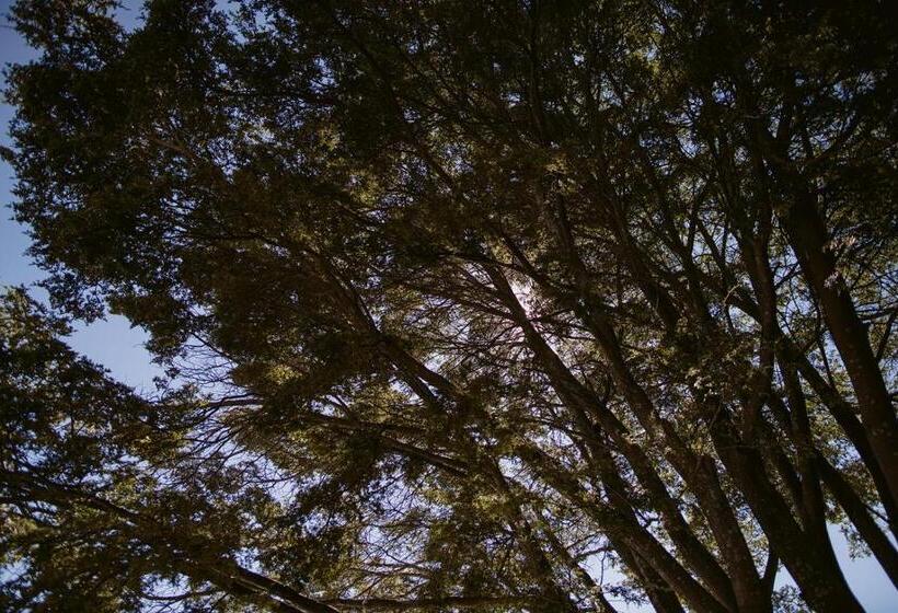 Vandrarhem Hippo Lodge Backpackers