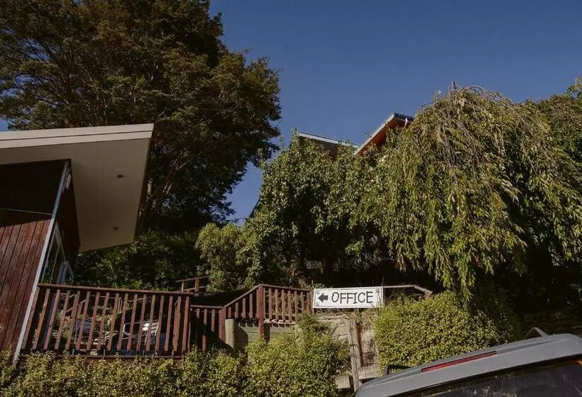 ユースホステル Hippo Lodge Backpackers