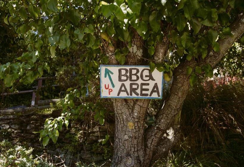 Vandrarhem Hippo Lodge Backpackers