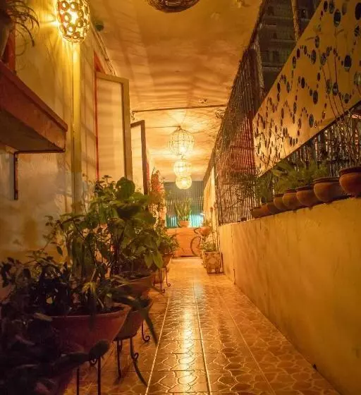 ユースホステル Guesthouse Malagueta Inn I & Ii