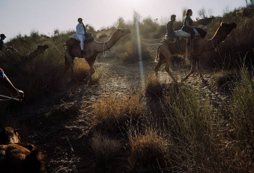 Albergue Moustache Jaisalmer