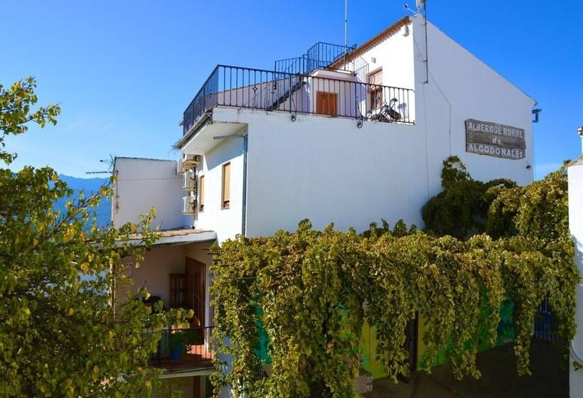 Albergue Rural De Algodonales Hostel