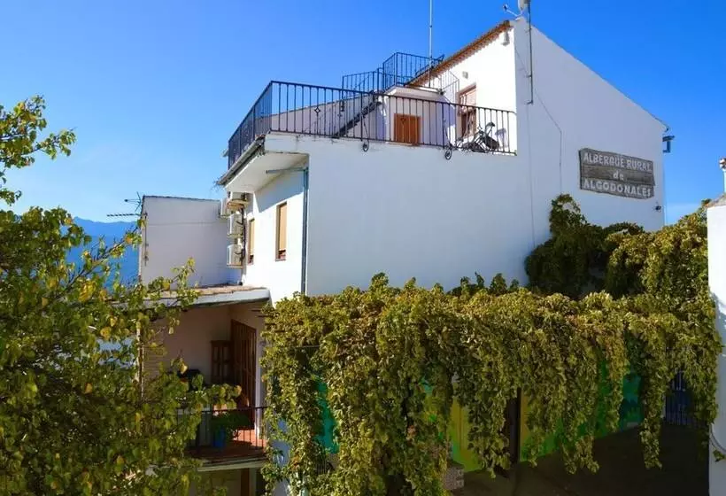 Albergue Rural De Algodonales   Hostel