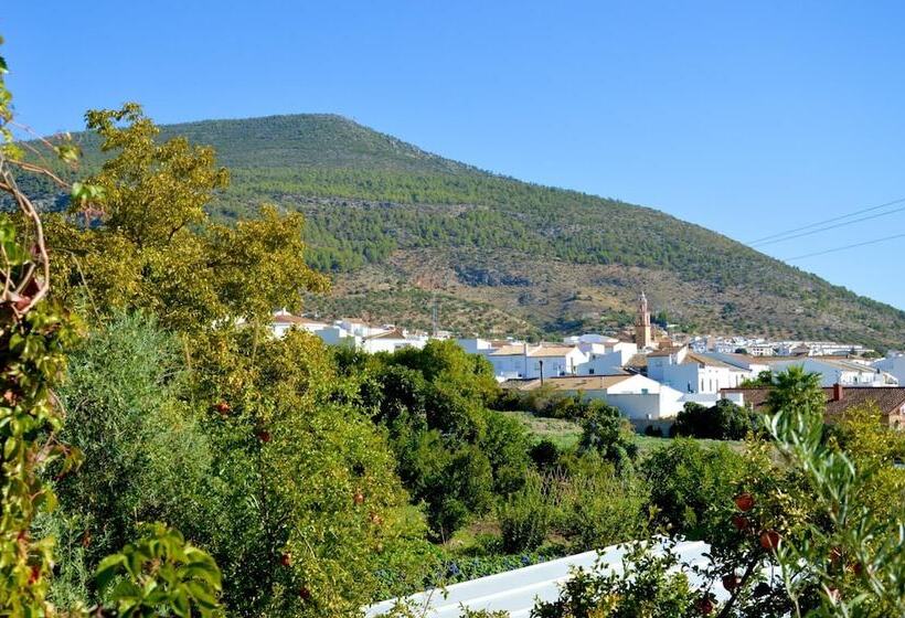 Albergue Rural De Algodonales Hostel