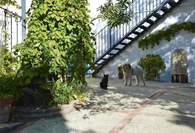 Albergue Rural De Algodonales Hostel