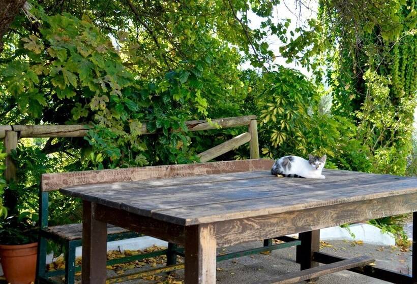 Albergue Rural De Algodonales Hostel