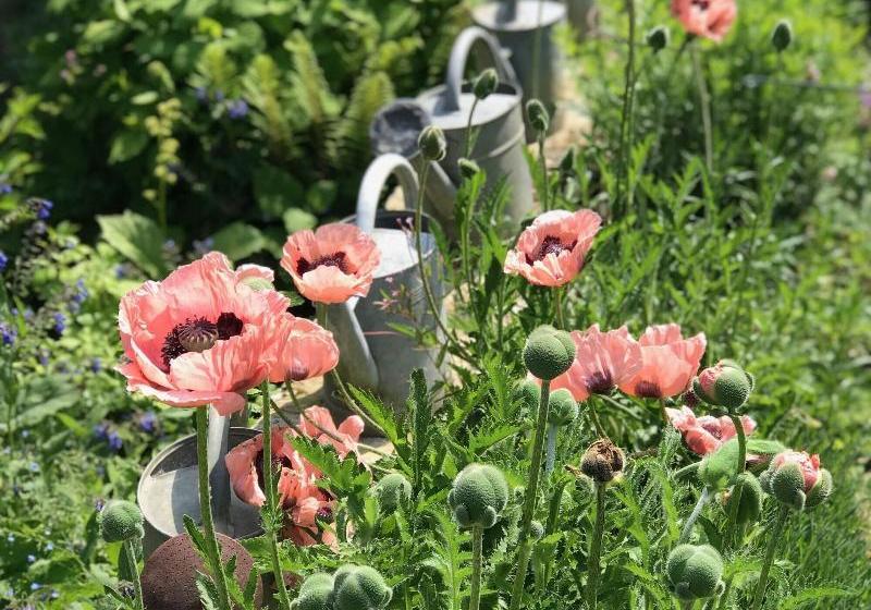 تختخواب و صبحانه Villa Cambette