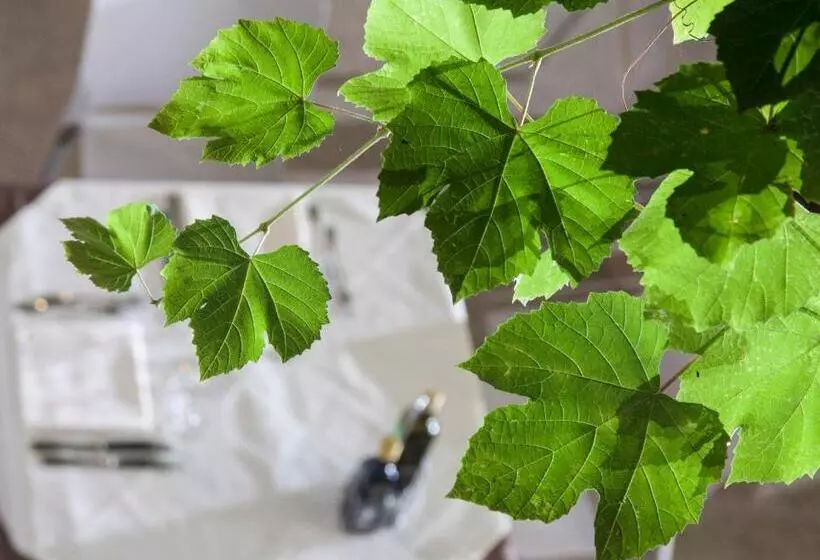 ホテル Casa Alla Lega