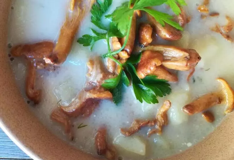 Hotelli Pod Herbem  Pokoje Ozonowane