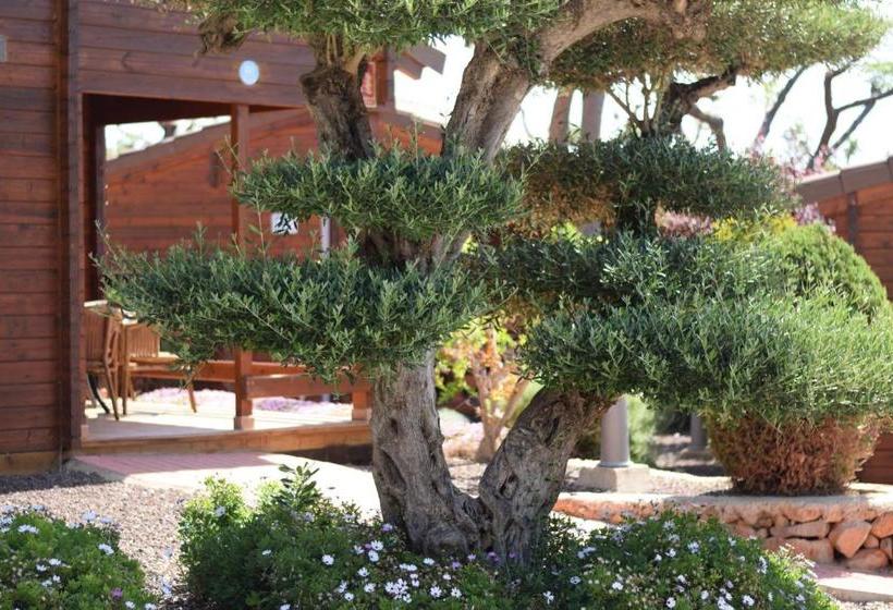 استراحتگاه Camping Ribamar