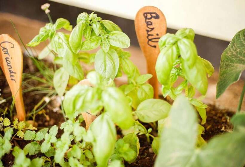 The  Secret  Garden  Hotel  Moshi