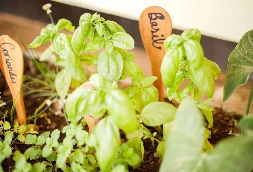 The  Secret  Garden  Hotel  Moshi