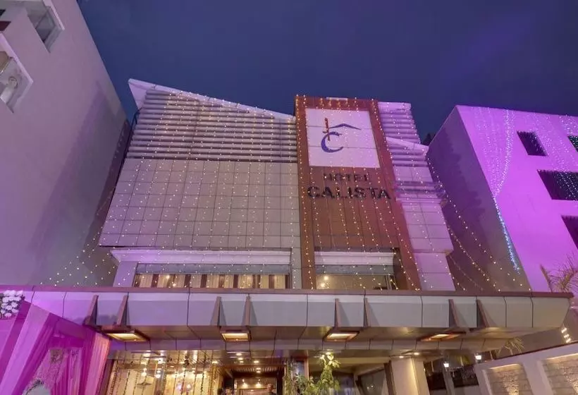 ホテル Treebo Calista, Patel Nagar