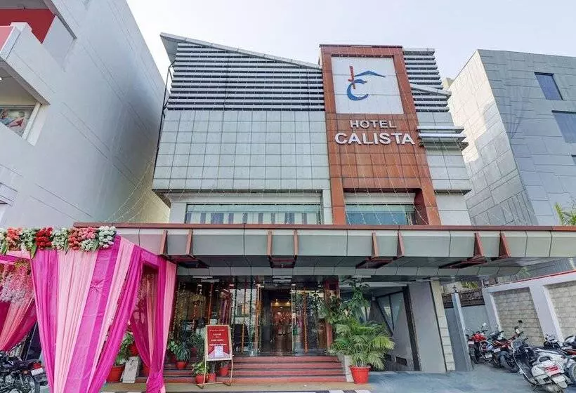 ホテル Treebo Calista, Patel Nagar