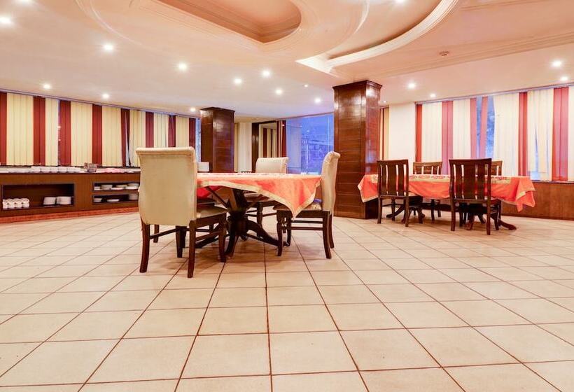 Hotel Treebo Calista, Patel Nagar