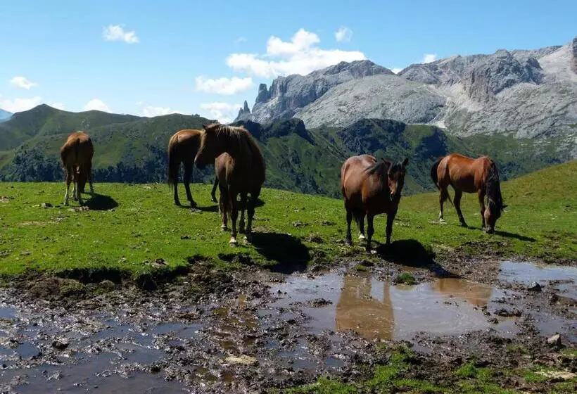 & Appartements Perwanger
