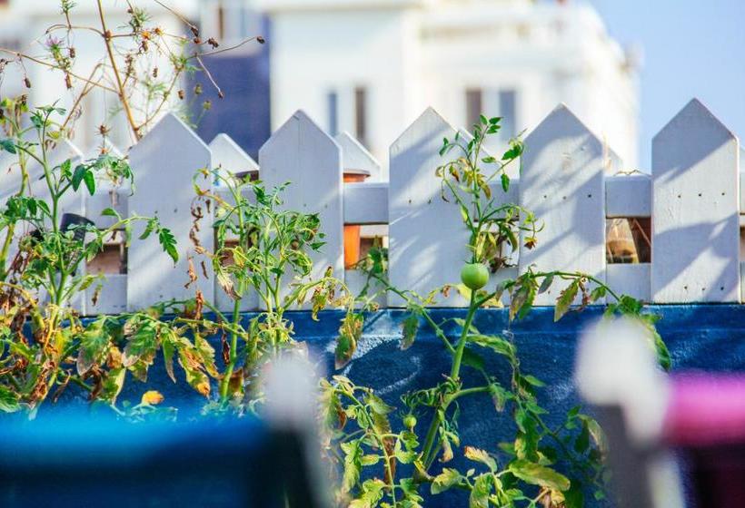 旅馆 Qingdao Ningye Xiaozhu