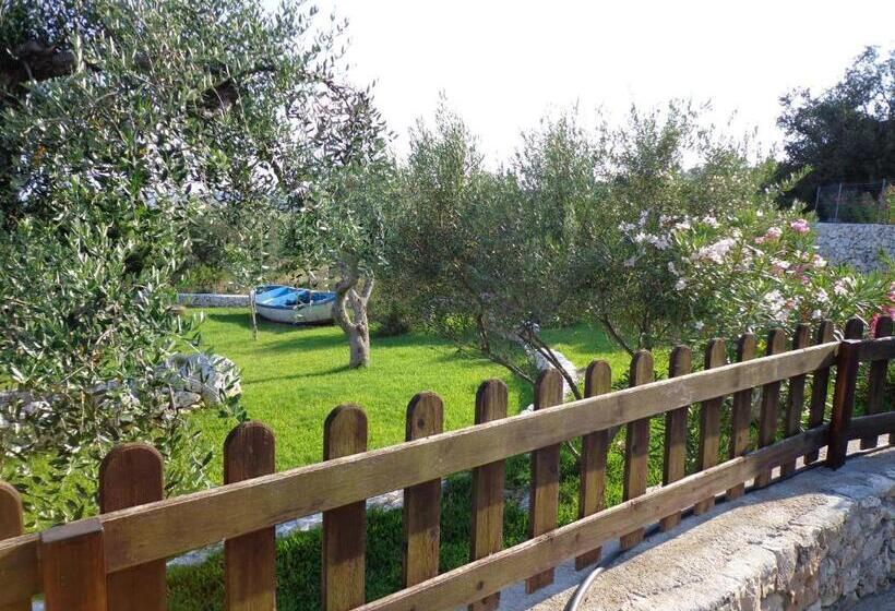 Amoru Bed & Breakfast