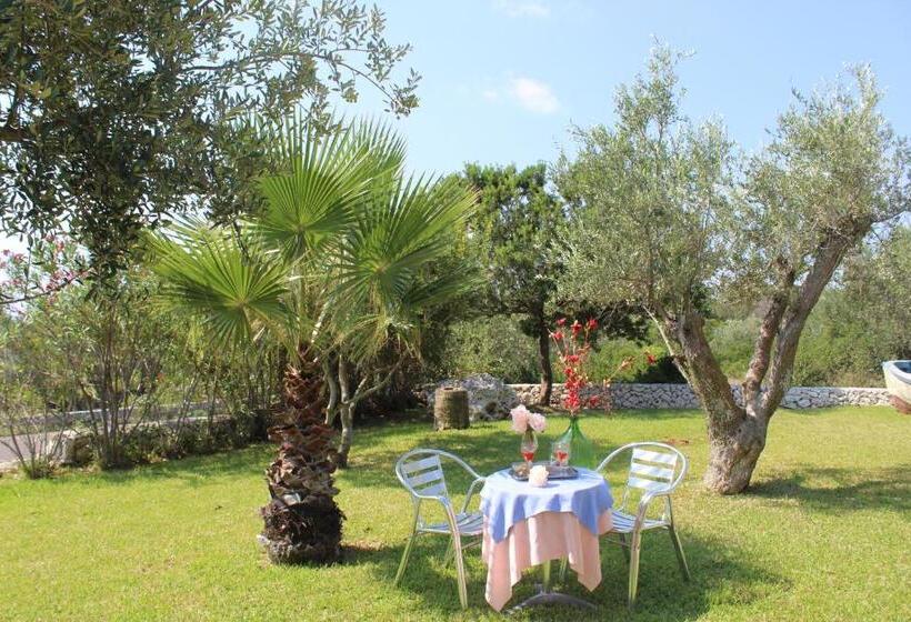 Amoru Bed & Breakfast