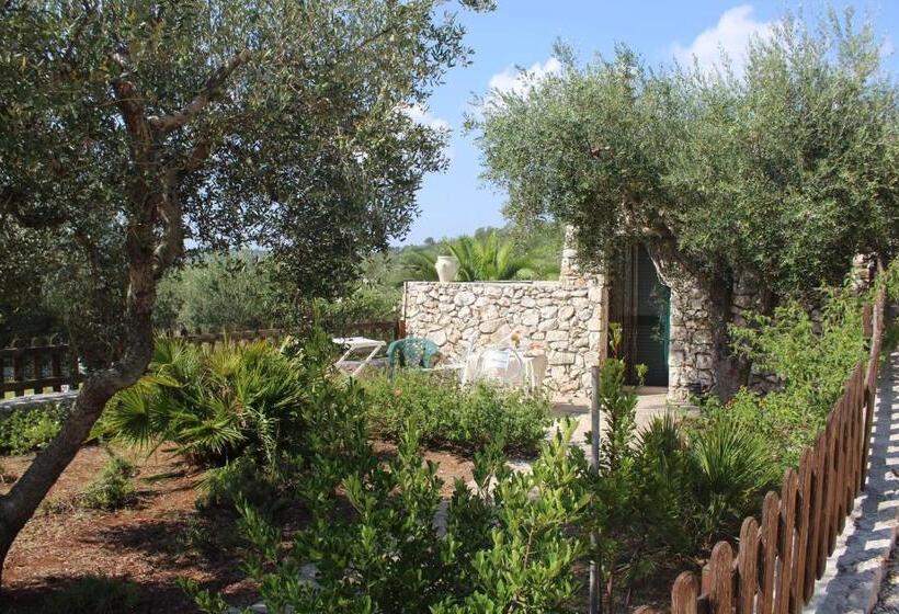 Amoru Bed & Breakfast