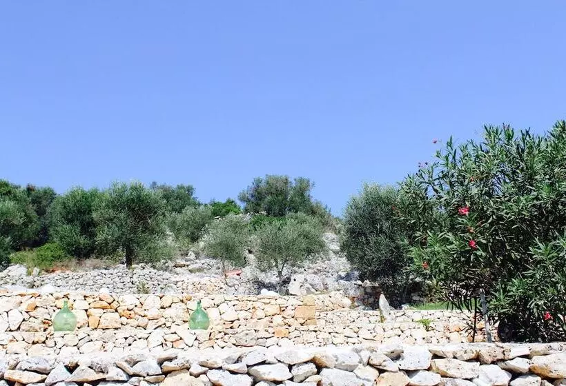 Amoru Bed & Breakfast