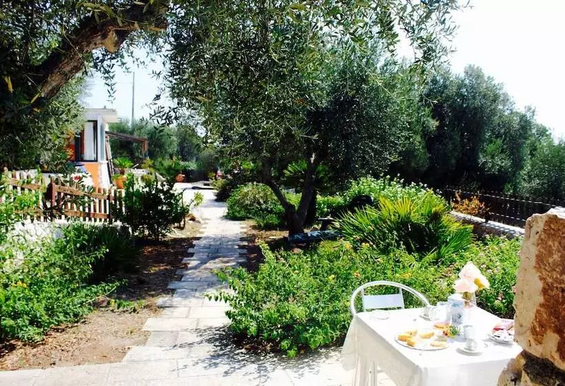 Amoru Bed & Breakfast