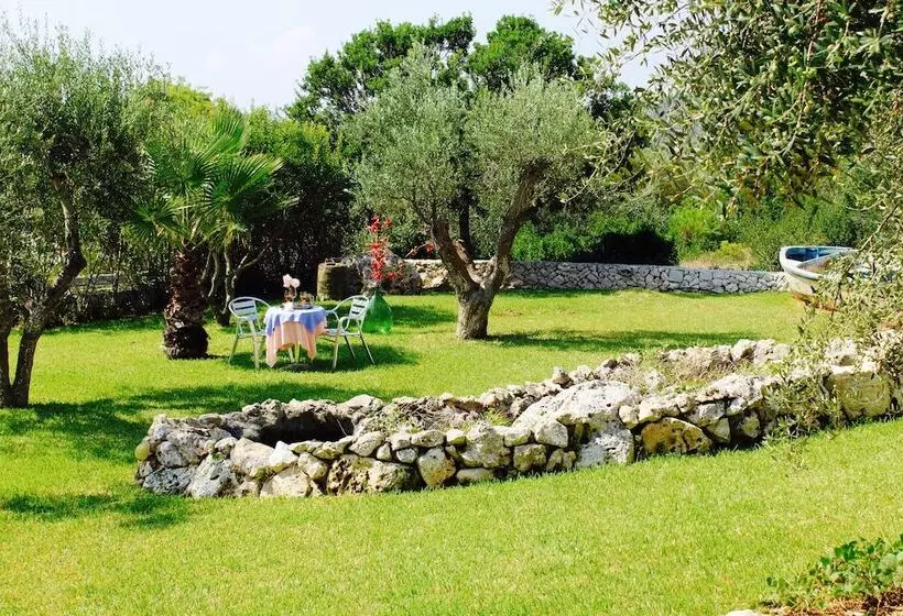 Amoru Bed & Breakfast