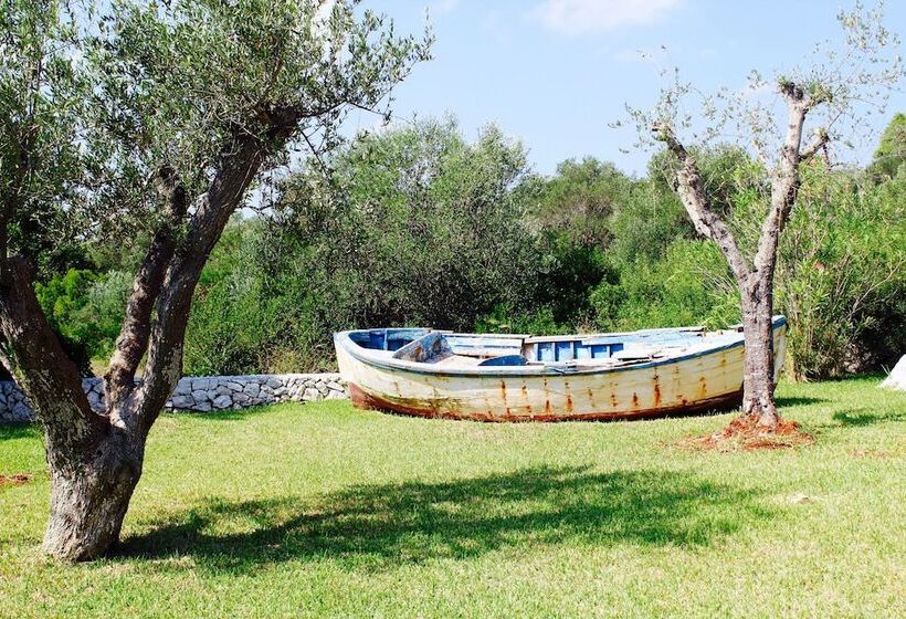 Amoru Bed & Breakfast