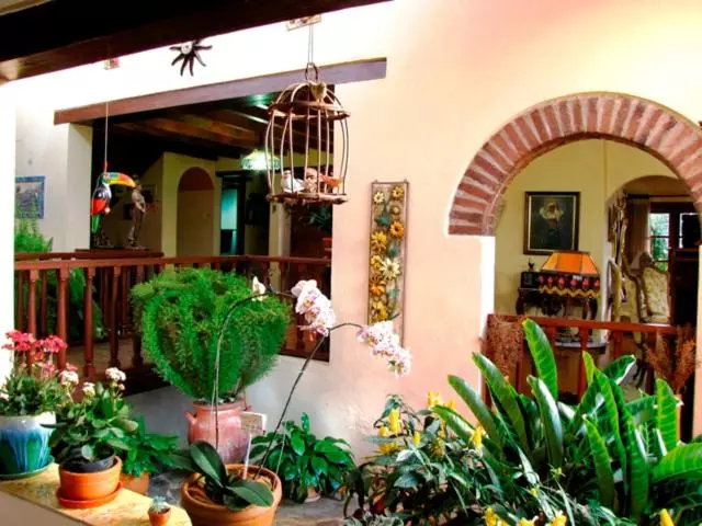 ベッドアンドブレックファースト Hacienda El Pinar Del Viento