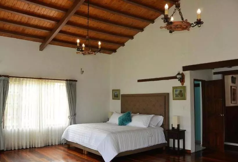 ベッドアンドブレックファースト Hacienda El Pinar Del Viento