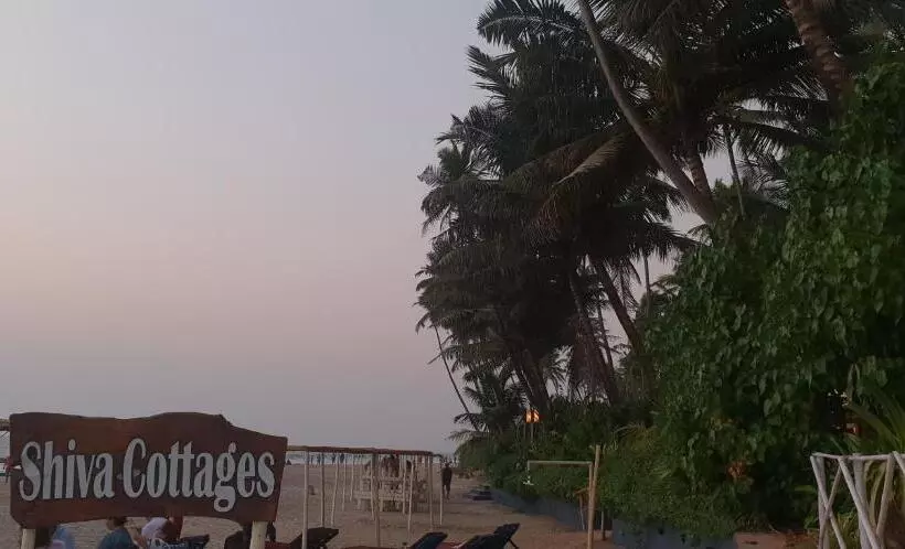 Bed and Breakfast Shiva Cottages