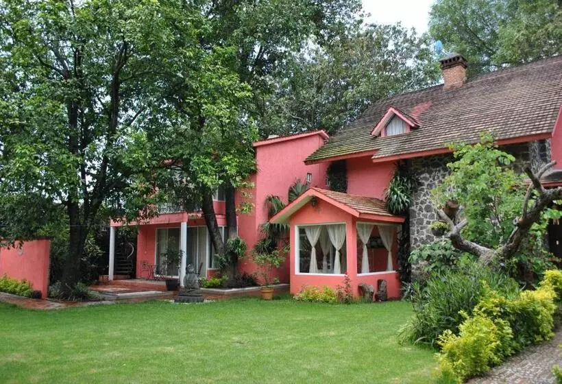Hotelli Casa Amor