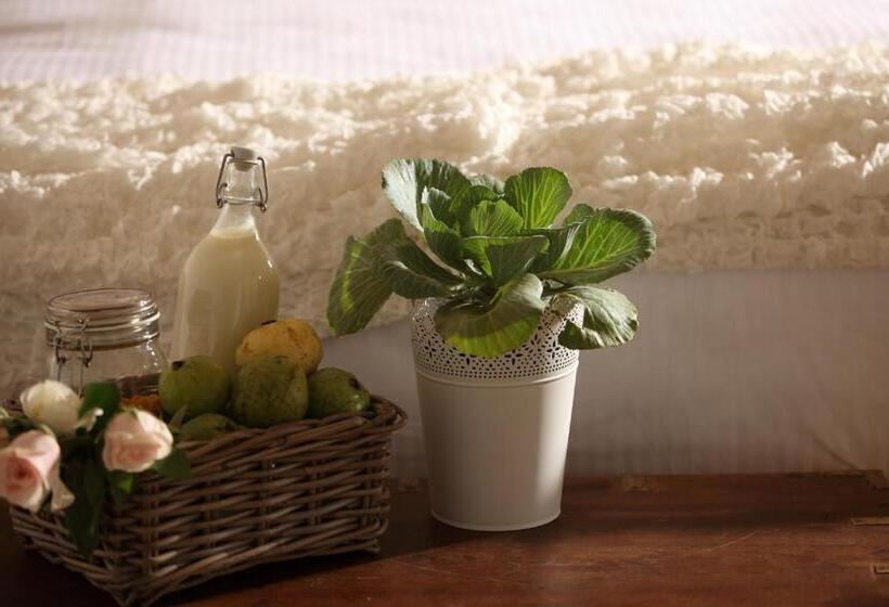 ホテル Hills & Hues