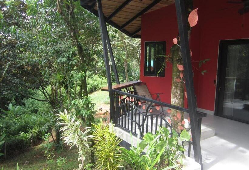 ホテル Oasis De Las Palmas