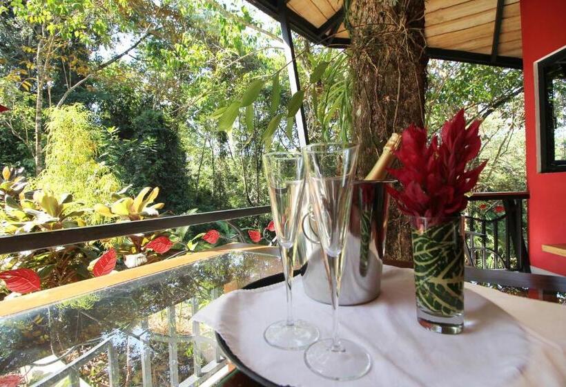 ホテル Oasis De Las Palmas