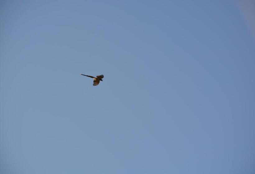 Hotell Sb Mount Resort