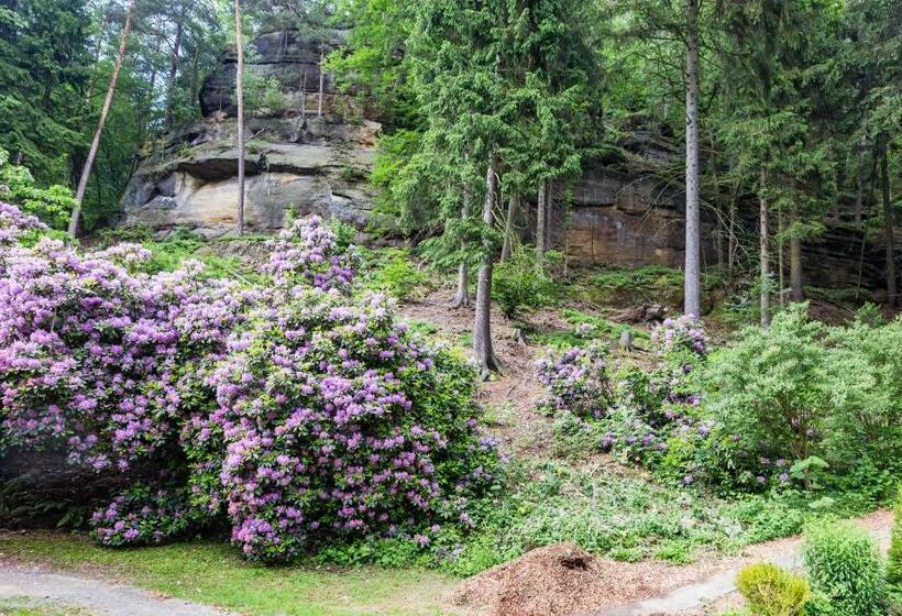 בית מלון כפרי Waldhäusel