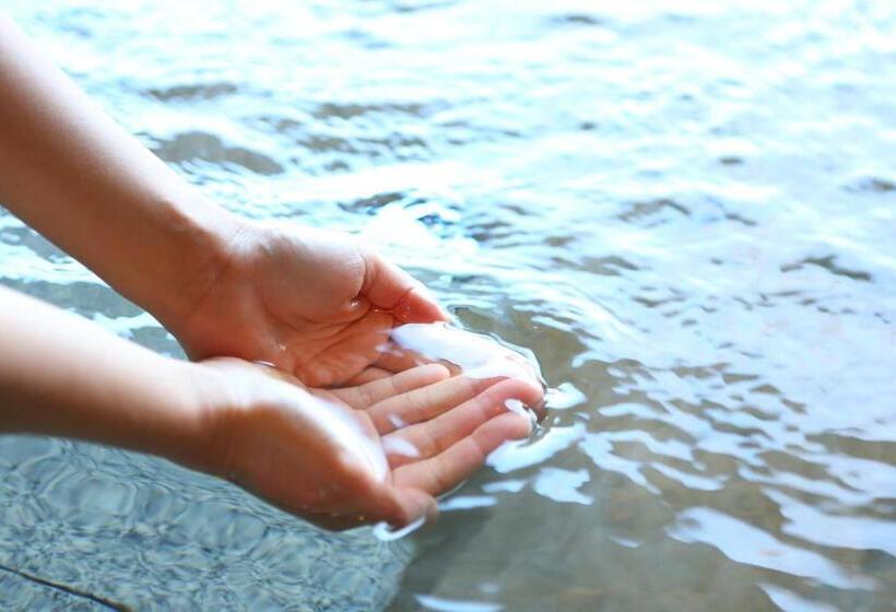 Рёкан Iwamura Sanso