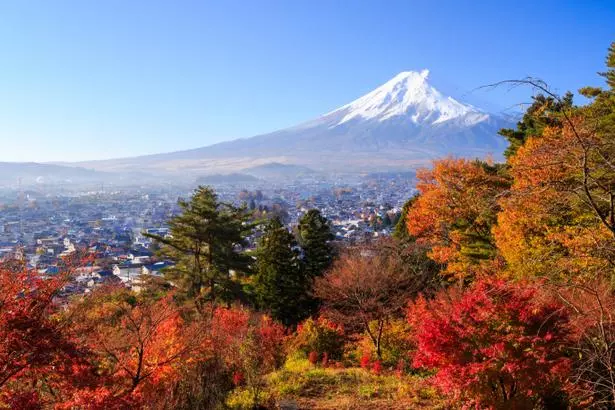 ユースホステル Maisan Chi Guesthouse & Cafe