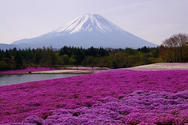 הוסטל Maisan Chi Guesthouse & Cafe