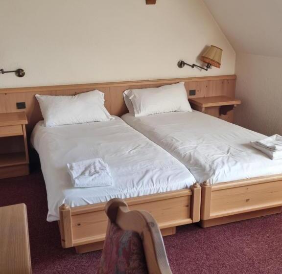 בית מלון כפרי Et Spa Du Scharrach