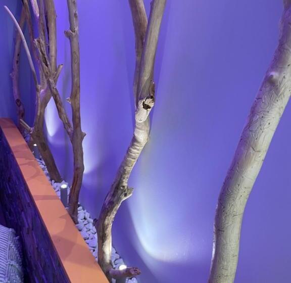 בית מלון כפרי Et Spa Du Scharrach