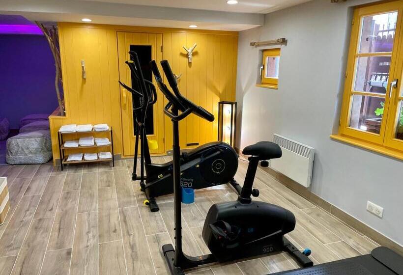 בית מלון כפרי Et Spa Du Scharrach