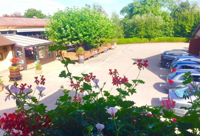 בית מלון כפרי Et Spa Du Scharrach