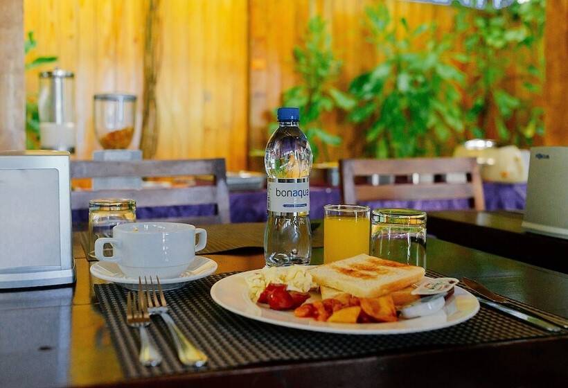 Hotel Narnia Maldives