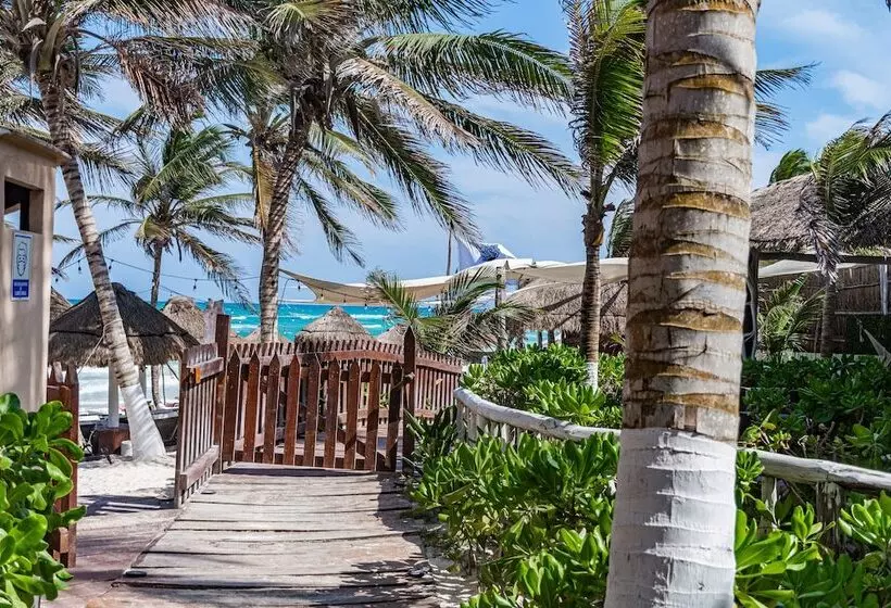 Hotelli Villa Las Estrellas Tulum  Located At The Party Zone