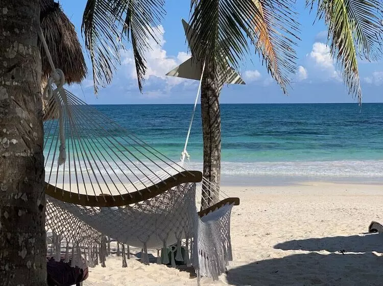 Hotelli Villa Las Estrellas Tulum  Located At The Party Zone